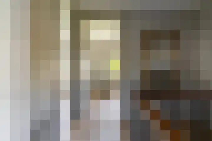 Ganssteeg 3 Beusichem thumbnail 44