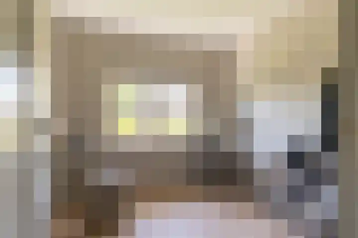 Ganssteeg 3 Beusichem thumbnail 46