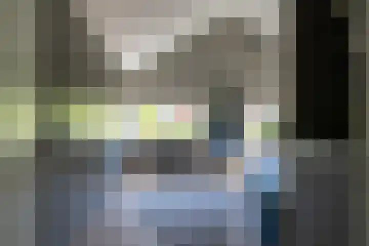 Ganssteeg 3 Beusichem thumbnail 49