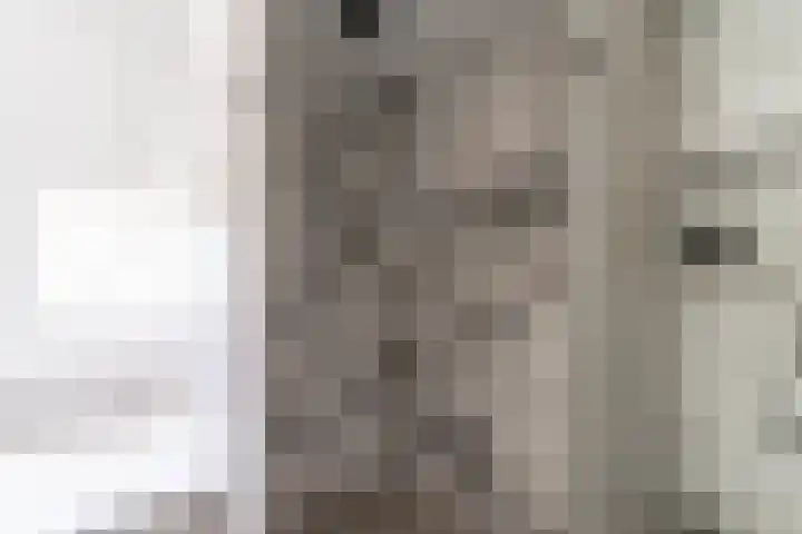 Ganssteeg 3 Beusichem thumbnail 55