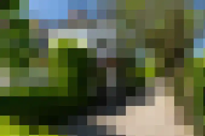 Ganssteeg 3 Beusichem thumbnail 59
