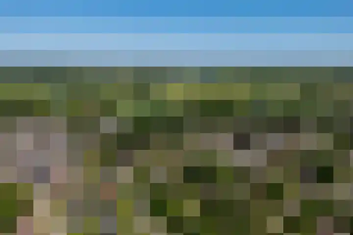 Ganssteeg 3 Beusichem thumbnail 67