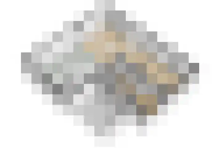 Ganssteeg 3 Beusichem thumbnail 69