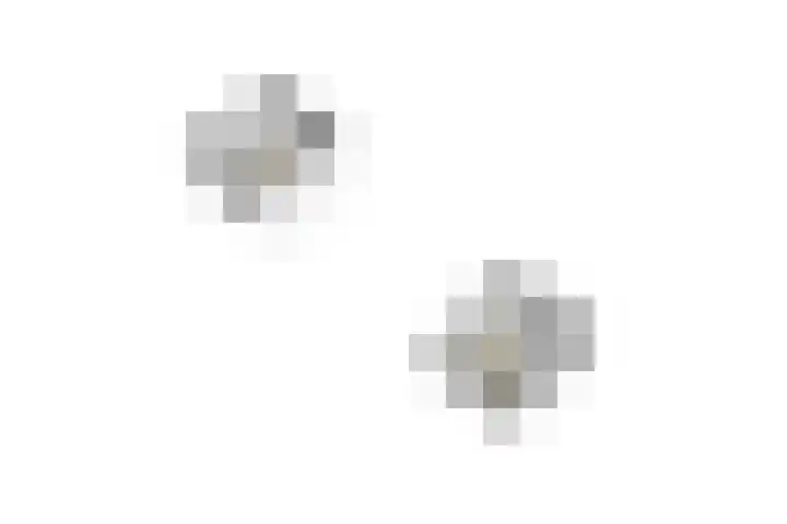 Ganssteeg 3 Beusichem thumbnail 77