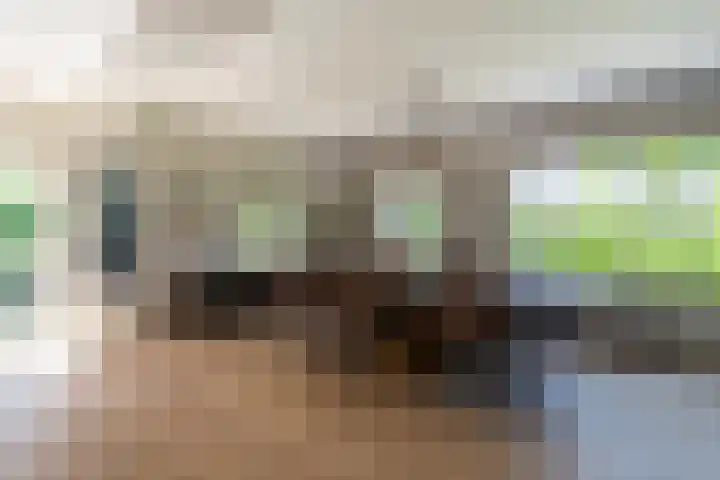 Ganssteeg 3 Beusichem thumbnail 8