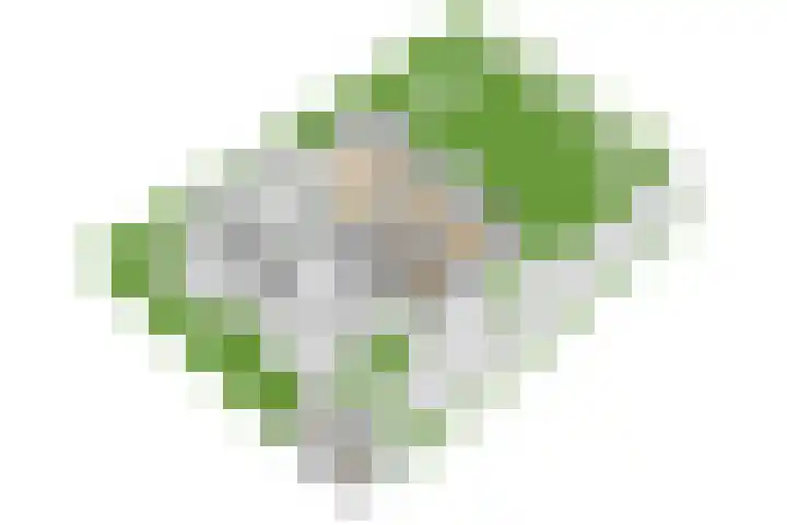 Ganssteeg 3 Beusichem thumbnail 81