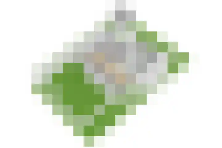 Ganssteeg 3 Beusichem thumbnail 82