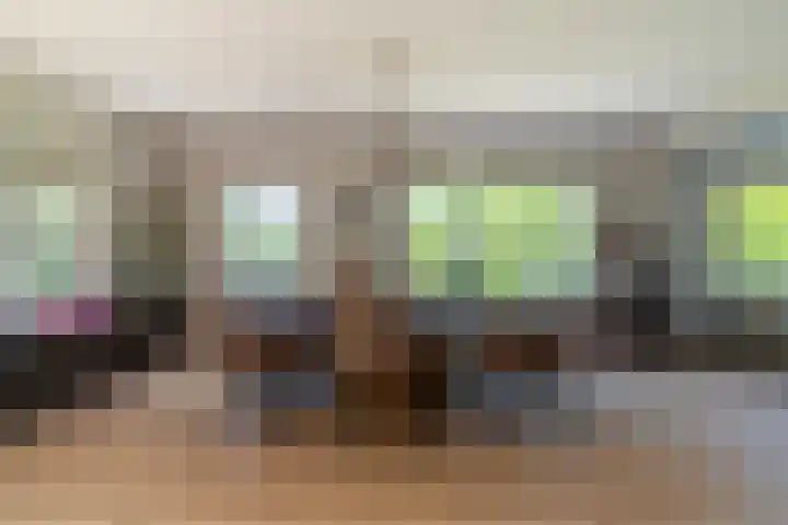Ganssteeg 3 Beusichem thumbnail 9