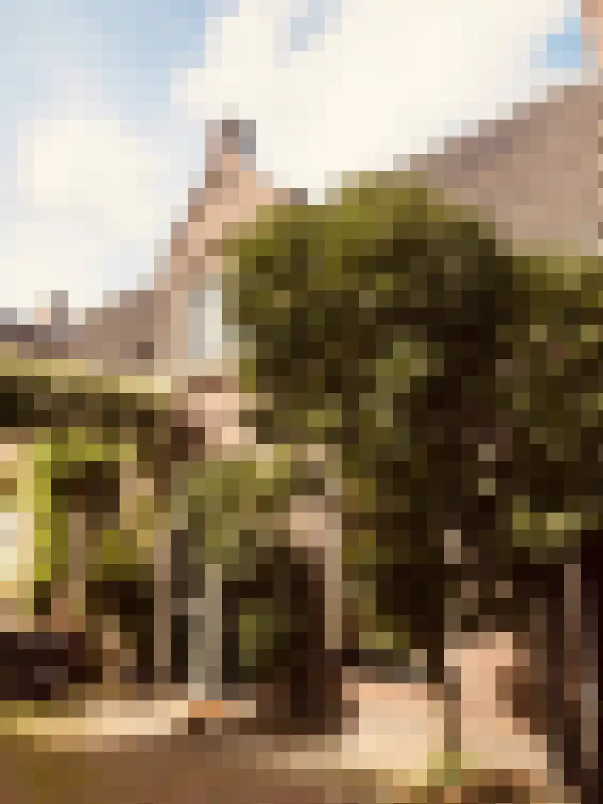 Gansstraat in Utrecht
