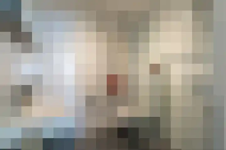 Gansstraat 59 Utrecht thumbnail 16