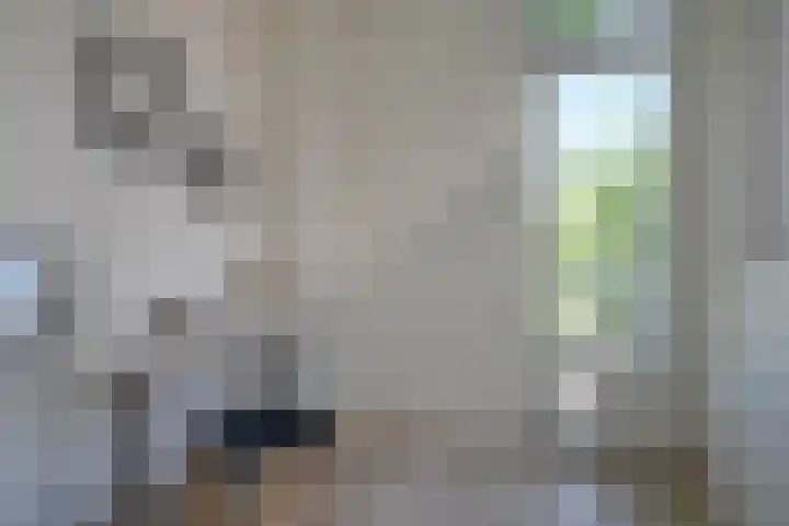 Gansstraat 59 Utrecht thumbnail 33