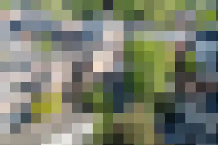 Gansstraat 59 Utrecht thumbnail 54