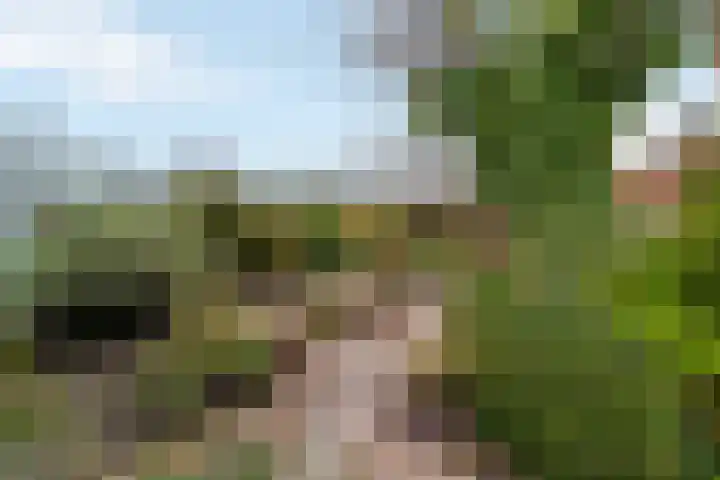 Gantellaan 29 Monster thumbnail 23