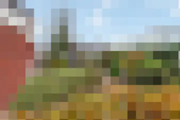 Gantellaan 29 Monster thumbnail 24