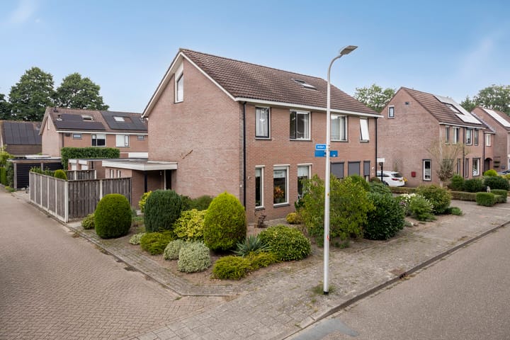 Ganzebloem 21 in Hardenberg foto