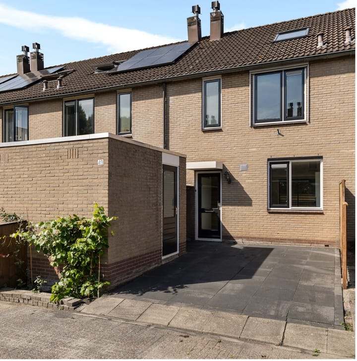 Ganzebloem 49 in Kampen foto