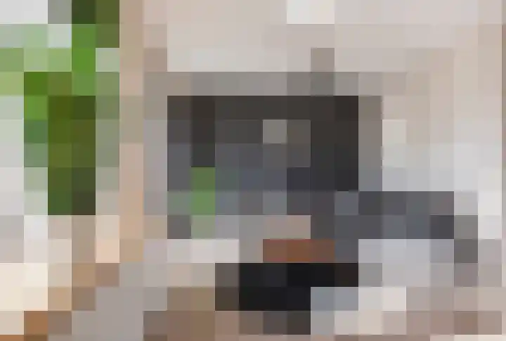 Ganzebloem 5 Culemborg thumbnail 12