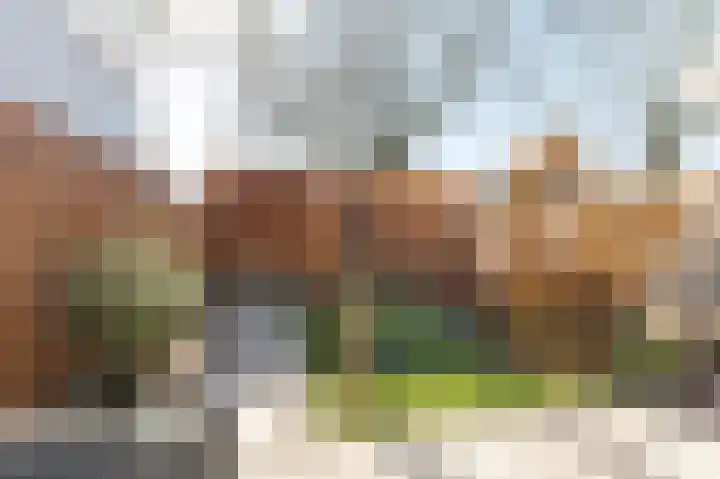 Ganzebloem 5 Culemborg thumbnail 16