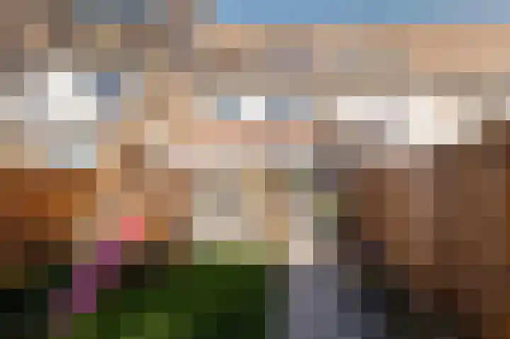 Ganzebloem 5 Culemborg thumbnail 19