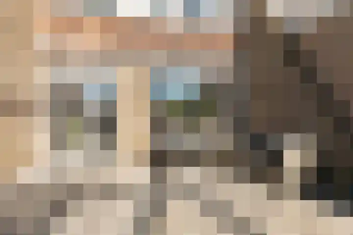 Ganzebloem 5 Culemborg thumbnail 23