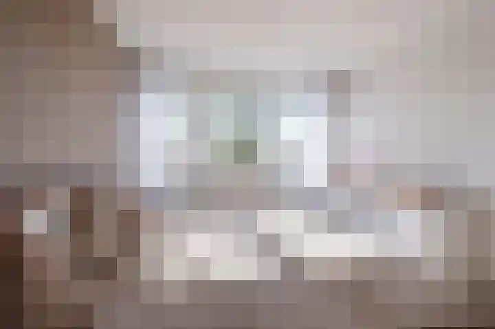 Ganzebloem 5 Culemborg thumbnail 29