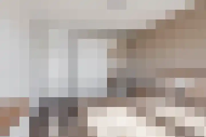 Ganzebloem 5 Culemborg thumbnail 30