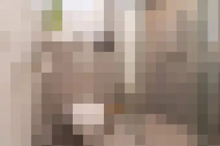 Ganzebloem 5 Culemborg thumbnail 34