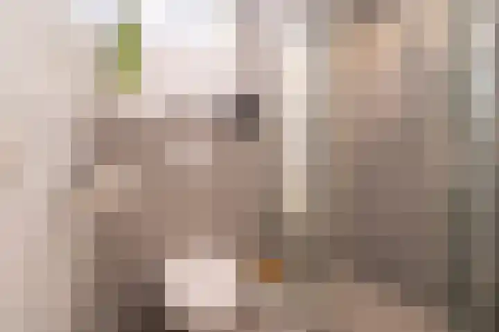 Ganzebloem 5 Culemborg thumbnail 35