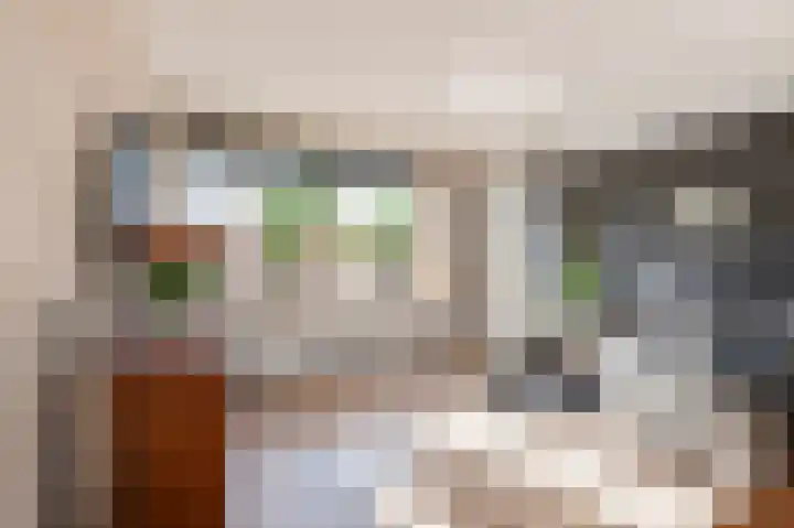 Ganzebloem 5 Culemborg thumbnail 4