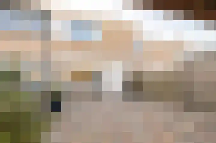 Ganzebloem 5 Culemborg thumbnail 40
