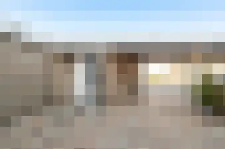 Ganzebloem 5 Culemborg thumbnail 41