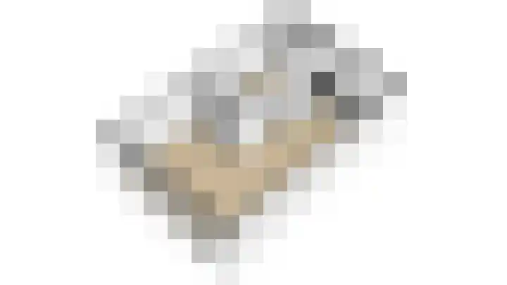 Ganzebloem 5 Culemborg thumbnail 44