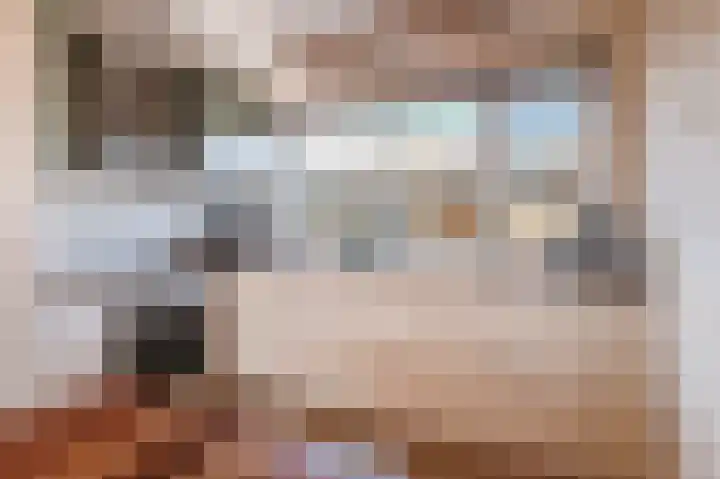 Ganzebloem 5 Culemborg thumbnail 5