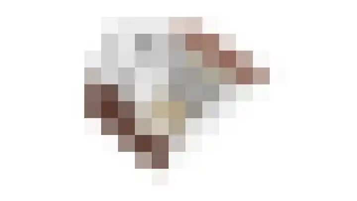 Ganzebloem 5 Culemborg thumbnail 50