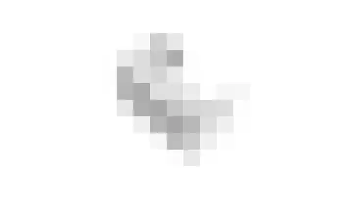 Ganzebloem 5 Culemborg thumbnail 59
