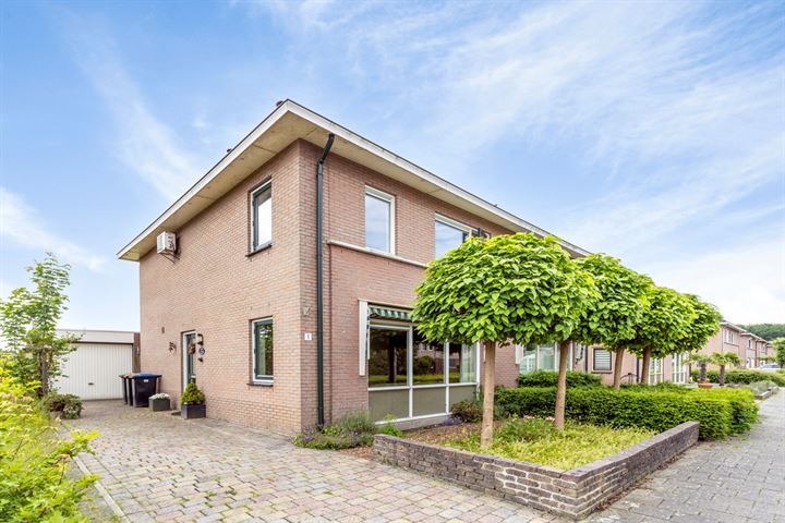 Ganzerik 1 in Swifterbant foto