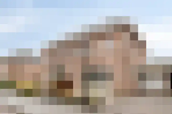 Ganzerik 11 Swifterbant