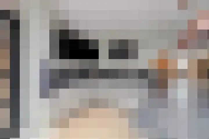 Ganzerik 11 Swifterbant thumbnail 13