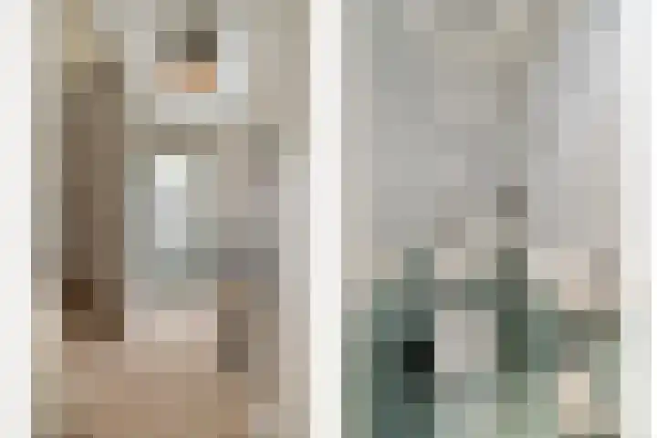 Ganzerik 11 Swifterbant thumbnail 18