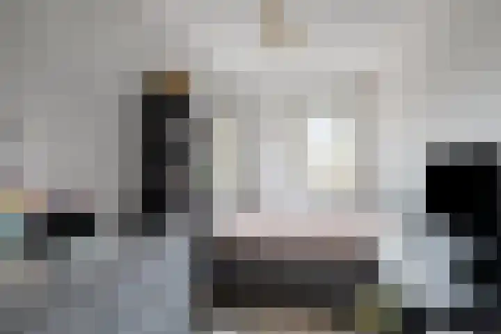 Ganzerik 11 Swifterbant thumbnail 21