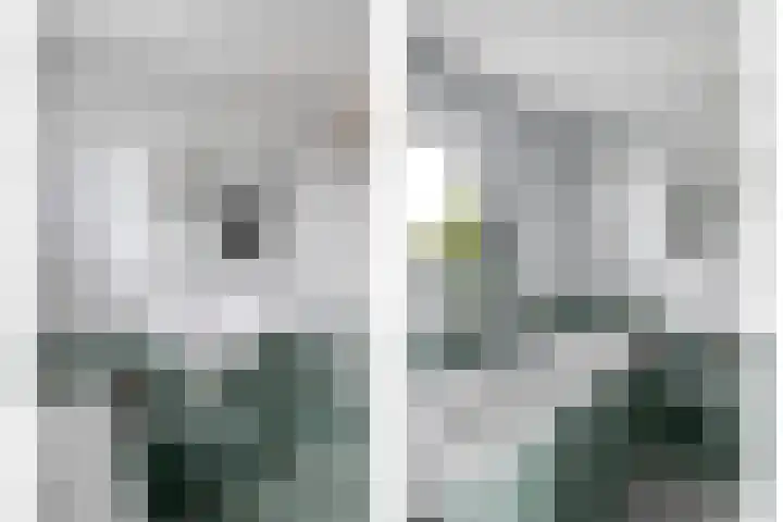 Ganzerik 11 Swifterbant thumbnail 26