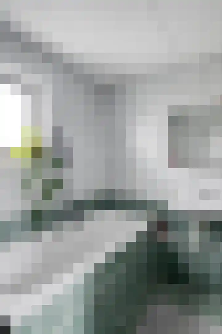 Ganzerik 11 Swifterbant thumbnail 27