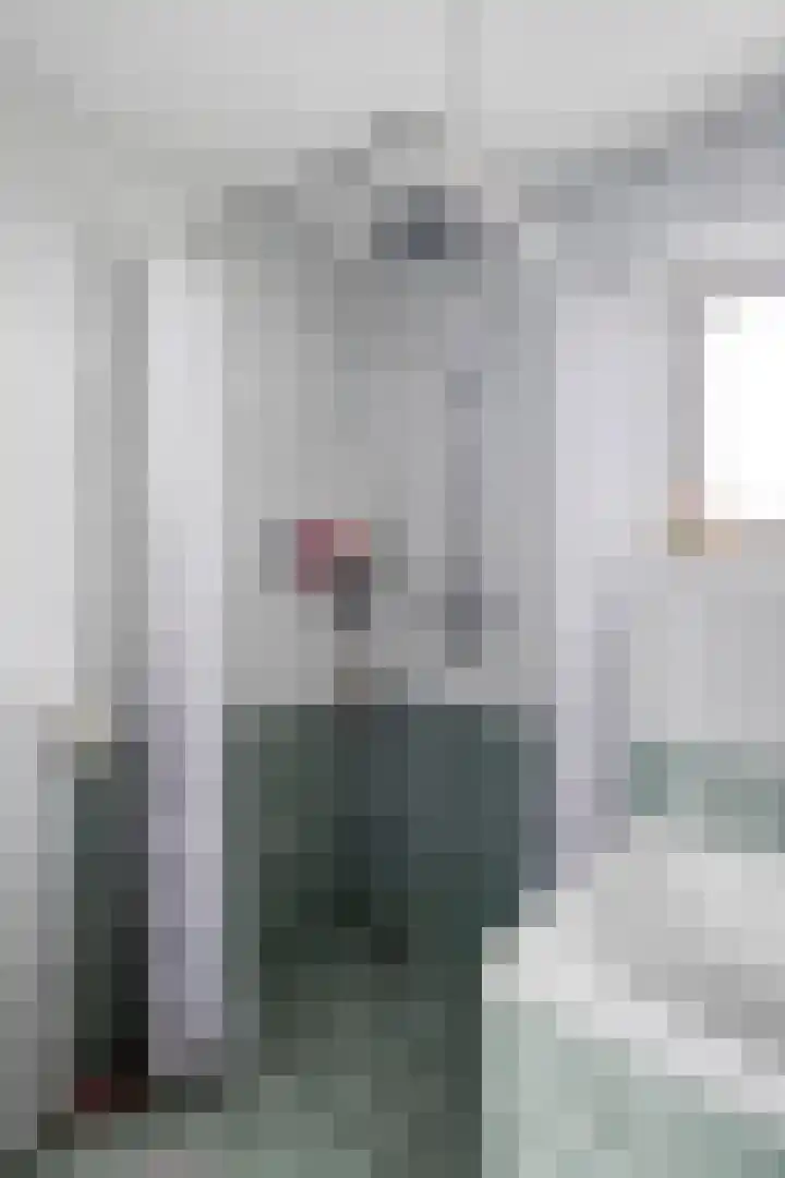 Ganzerik 11 Swifterbant thumbnail 28