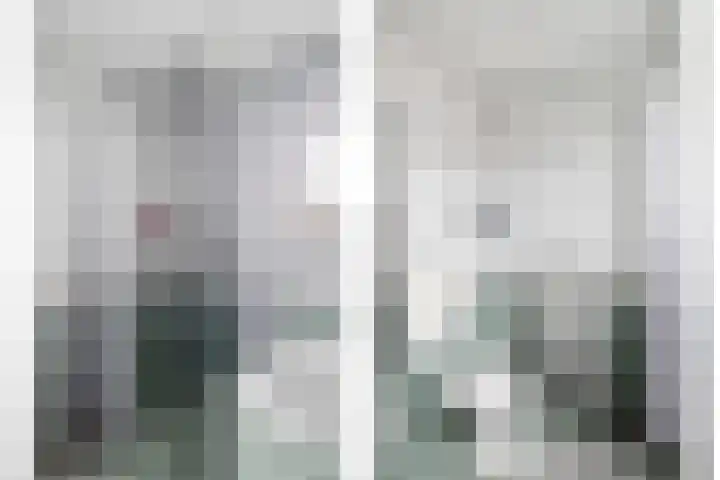 Ganzerik 11 Swifterbant thumbnail 29