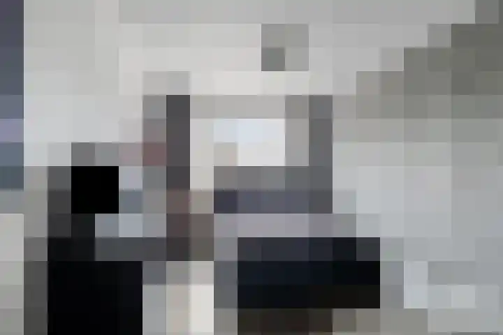 Ganzerik 11 Swifterbant thumbnail 33