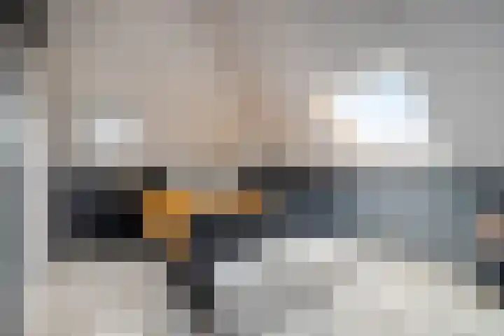 Ganzerik 11 Swifterbant thumbnail 35