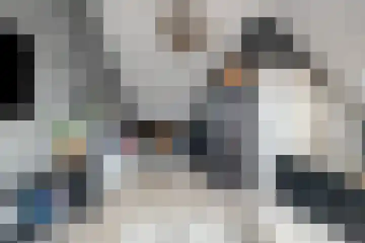 Ganzerik 11 Swifterbant thumbnail 37