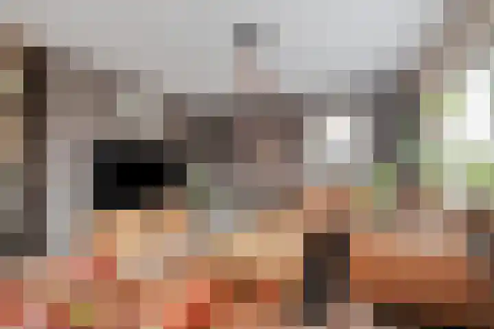 Ganzerik 11 Swifterbant thumbnail 4