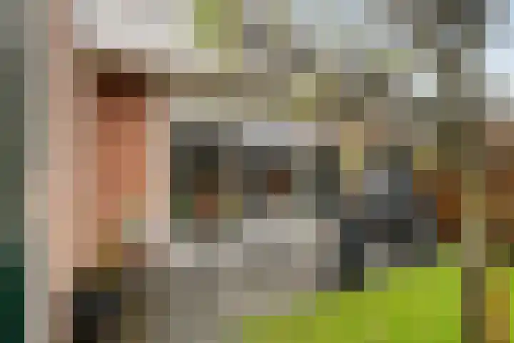 Ganzerik 11 Swifterbant thumbnail 40
