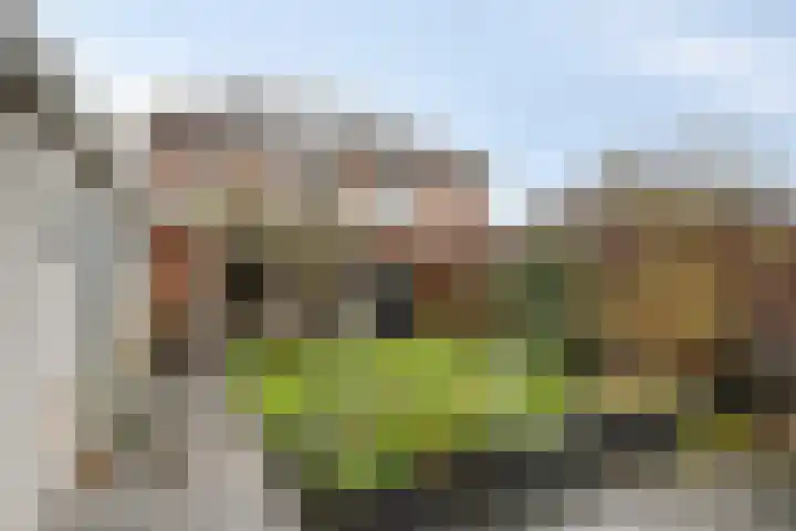 Ganzerik 11 Swifterbant thumbnail 43